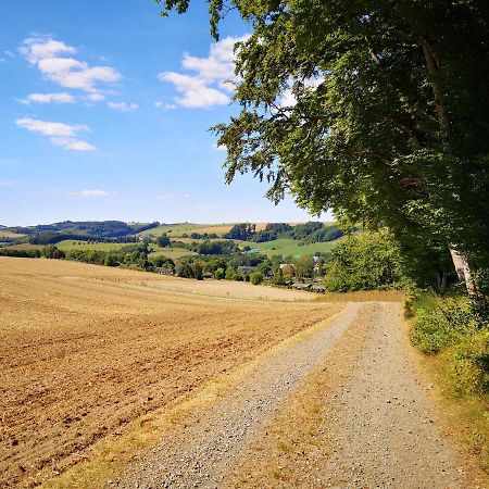 Haus Julia Direkt Am Hennesee Mitten Im Sauerland ميشيده المظهر الخارجي الصورة