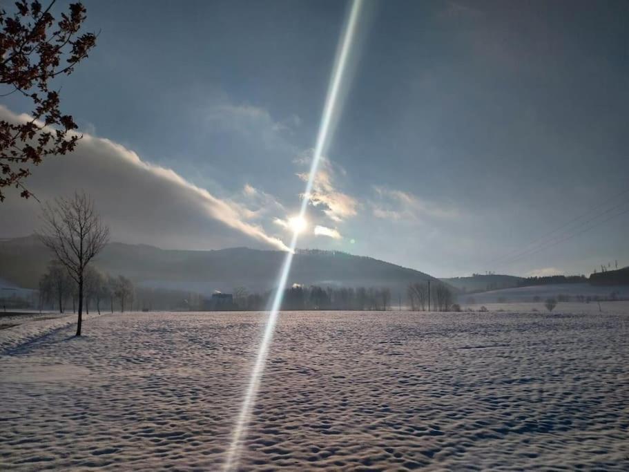 Haus Julia Direkt Am Hennesee Mitten Im Sauerland ميشيده المظهر الخارجي الصورة