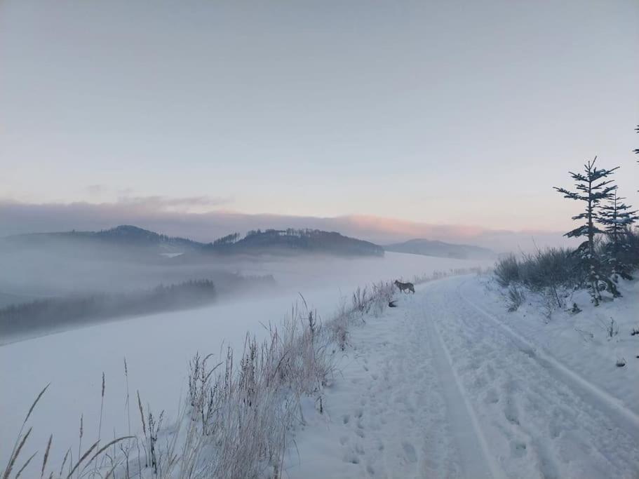 Haus Julia Direkt Am Hennesee Mitten Im Sauerland ميشيده المظهر الخارجي الصورة