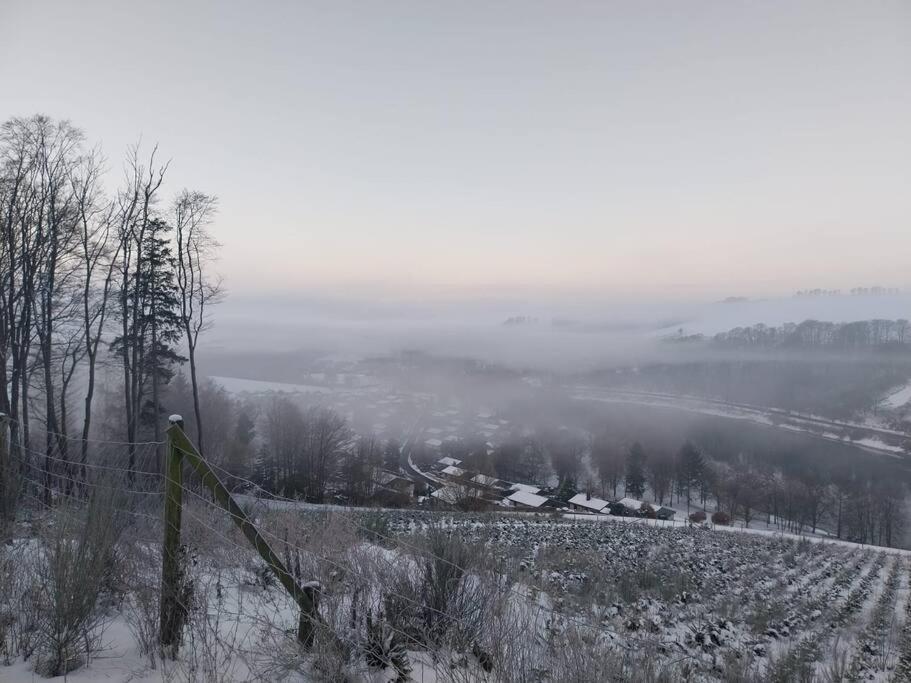 Haus Julia Direkt Am Hennesee Mitten Im Sauerland ميشيده المظهر الخارجي الصورة