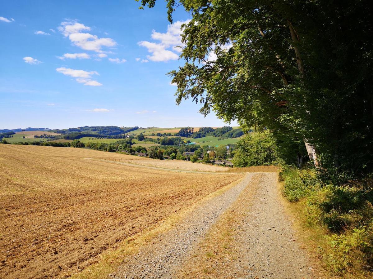 Haus Julia Direkt Am Hennesee Mitten Im Sauerland ميشيده المظهر الخارجي الصورة